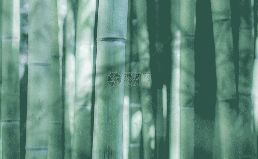 竹纹背景GIF图片