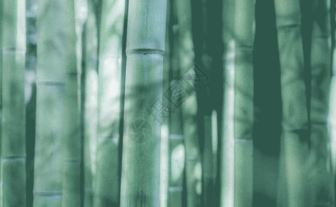 竹纹背景GIF图片
