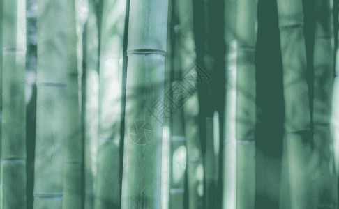 中式窗帘竹纹背景GIF高清图片