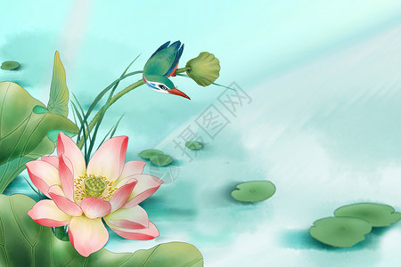 孔雀石翠鸟夏季荷花背景设计图片