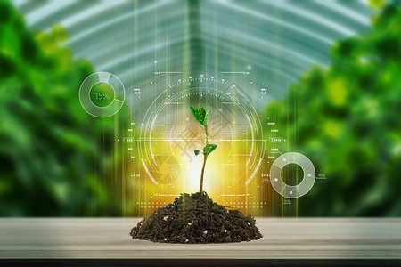 土壤酸化大棚植物发芽创意科技农业设计图片