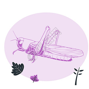 螳螂元素蚂蚱昆虫故事元素插画