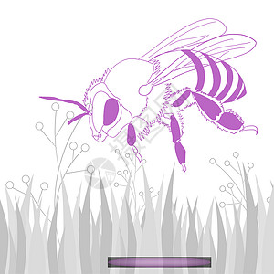蜜蜂采蜜昆虫元素背景图片