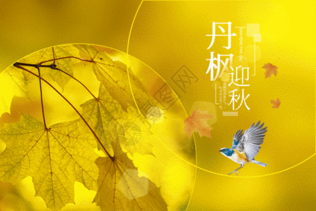 立秋创意黄色枫叶倒影gif动图图片