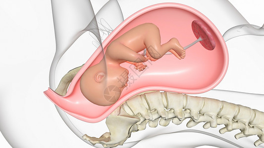阴道分娩前置胎盘高清图片