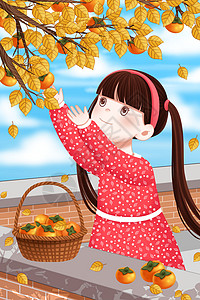 秋天摘柿子的女孩背景图片