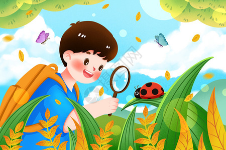 儿童户外活动学生观察昆虫插画插画