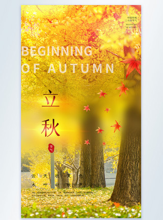 枫树叶图片写实风立秋竖版摄影图海报模板