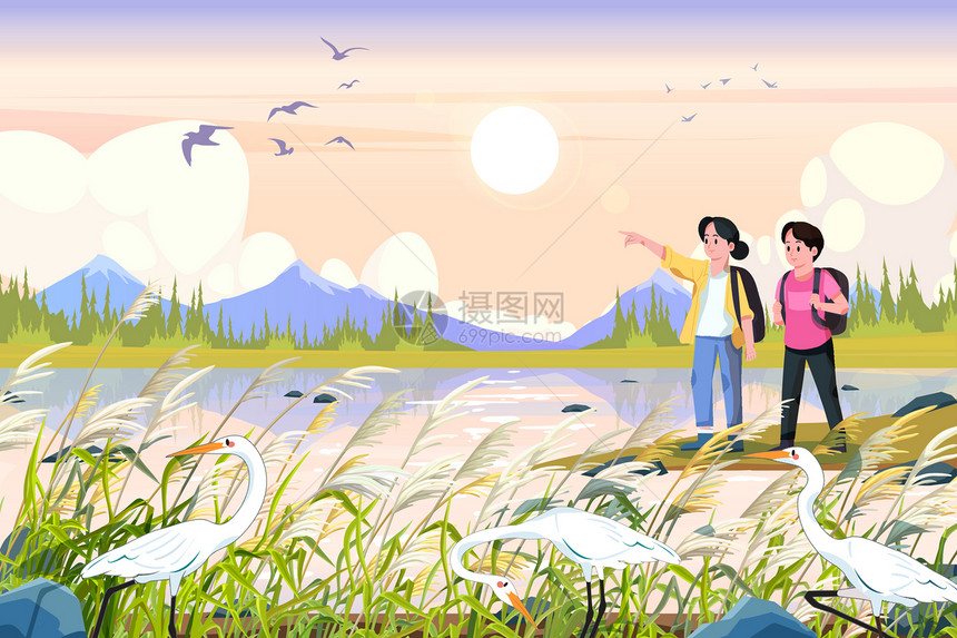 二十四节气白露朋友结伴郊游芦苇湖边遇见白鹭图片