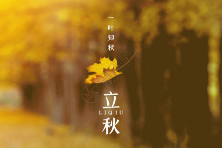 秋季赏枫叶海报立秋gif动图高清图片