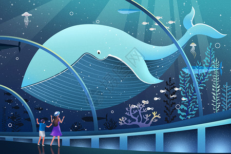 海洋馆表演海底世界亲子探索插画插画