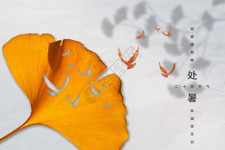 一片银杏叶创意落叶剪影处暑背景设计图片