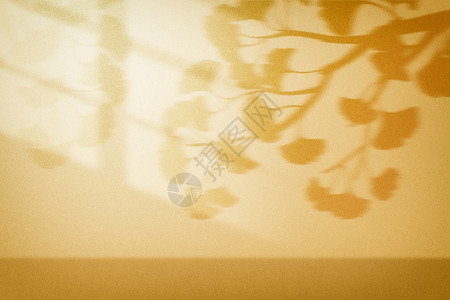 树叶飘落倒影大气窗户简约光影背景设计图片