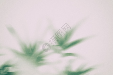 植物投影绿色唯美竹叶简约光影背景设计图片