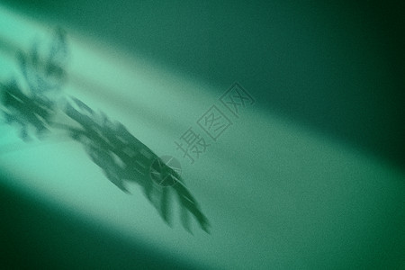 植物投影绿色龟背竹简约光影背景设计图片