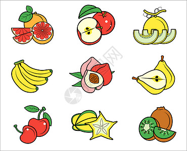 西柚硬木水果食物图标icon插画