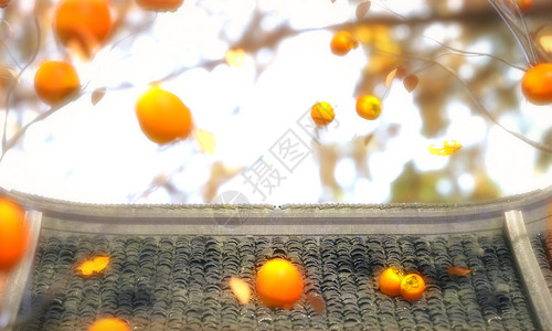 秋天柿子树C4D柿子树背景设计图片