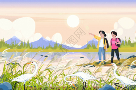 结伴出行二十四节气白露朋友结伴郊游芦苇湖边遇见白鹭GIF高清图片