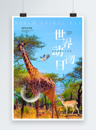 世界野生动物日简约时尚世界动物日海报模板