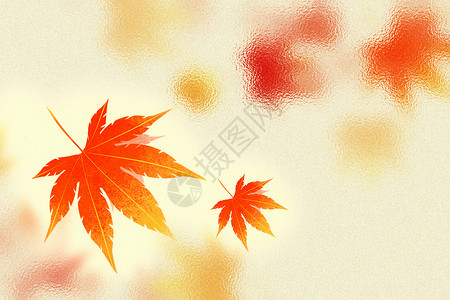 枫叶风素材玻璃风秋天背景设计图片