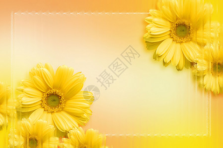 黄色植物边框唯美雏菊玻璃风背景设计图片