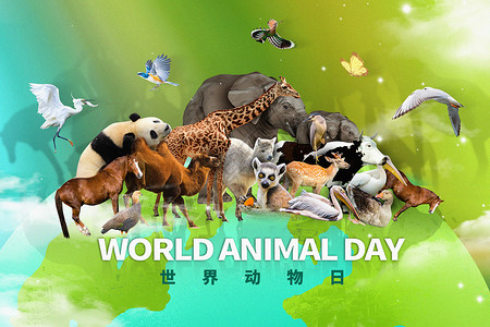 小偷家族世界动物日背景设计图片