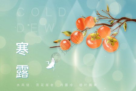 杏子素材寒露色彩背景设计图片