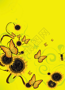 蝴蝶和花朵的插图背景背景图片