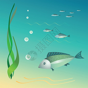 海底世界鱼海藻图片