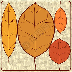装饰树叶的插图图片