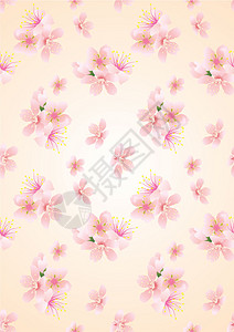 粉红色的无缝花朵图片
