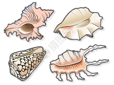 甲壳素使用混合和梯度填充矢量说插画