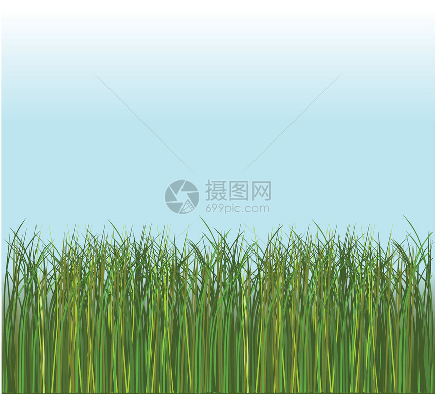矢量绿草和蓝天图片
