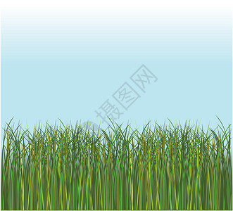 矢量绿草和蓝天背景图片