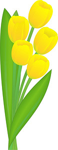 黄色假日郁金香的花束图片