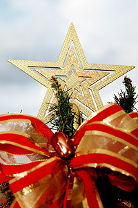圣诞树顶的金星图片