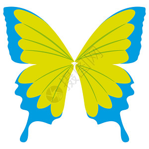 为您的设计项目绘制的蝴蝶插图图片