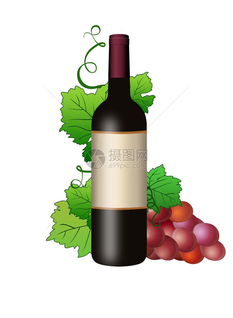 白色背景上带有葡萄酒和藤蔓的瓶子的插图图片