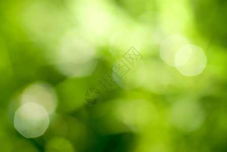 抽象的绿色自然背景图片