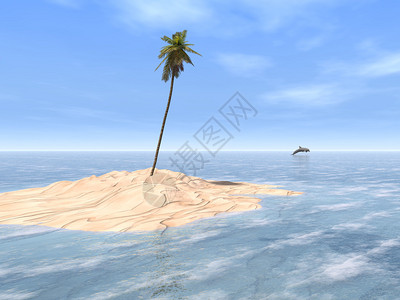 沙洲坝在一片白色沙滩上一座单椰子树塔周围是豪华热带设计图片
