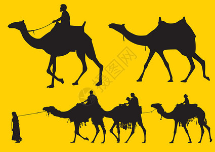骆驼轮图片