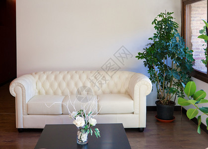 现代室内设计与白色复古沙发图片
