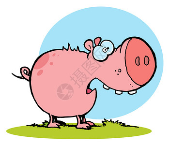 害怕的粉红猪张着嘴图片