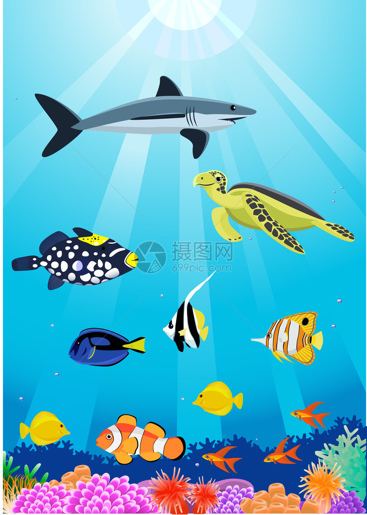 海洋生物的插图图片
