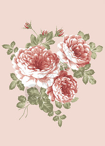 手工绘画美丽的玫瑰花束设图片