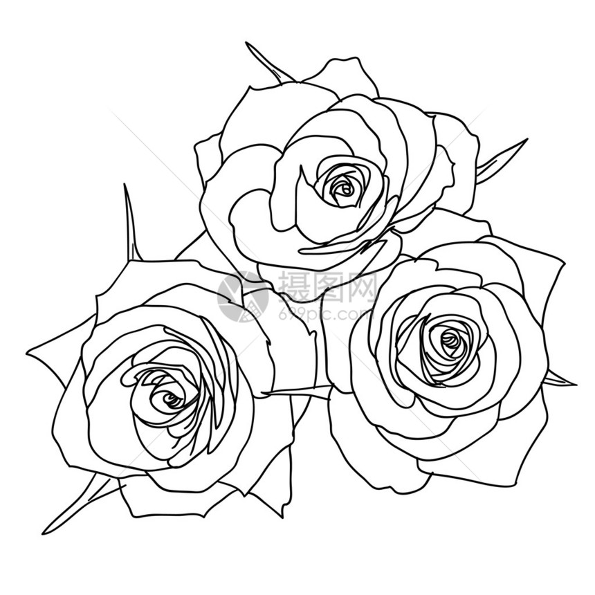 手绘风格的三朵玫瑰图片