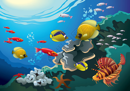 西巴丹潜水海底珊瑚礁许多彩色浅插画