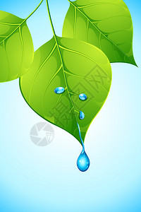 从绿树上滴水的插图图片