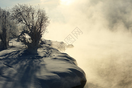 冬天美丽的风景在西伯利亚的树木上图片
