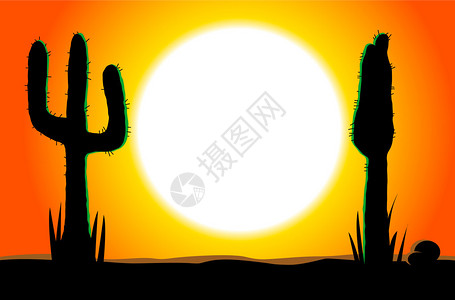 TexMex带日落和两个沙漠仙人掌环影的M图片